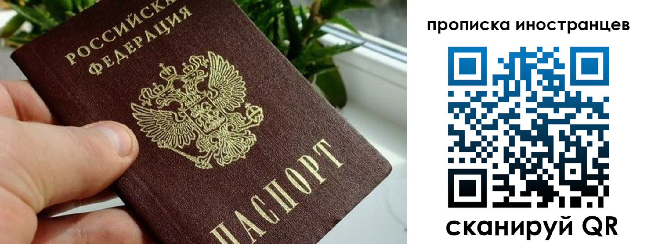 временная регистрация в Пугачёве